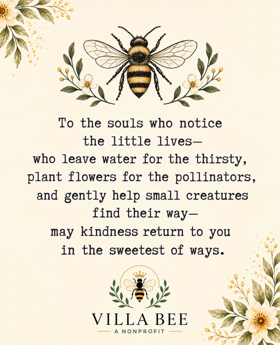 Villa Bee kindness card
