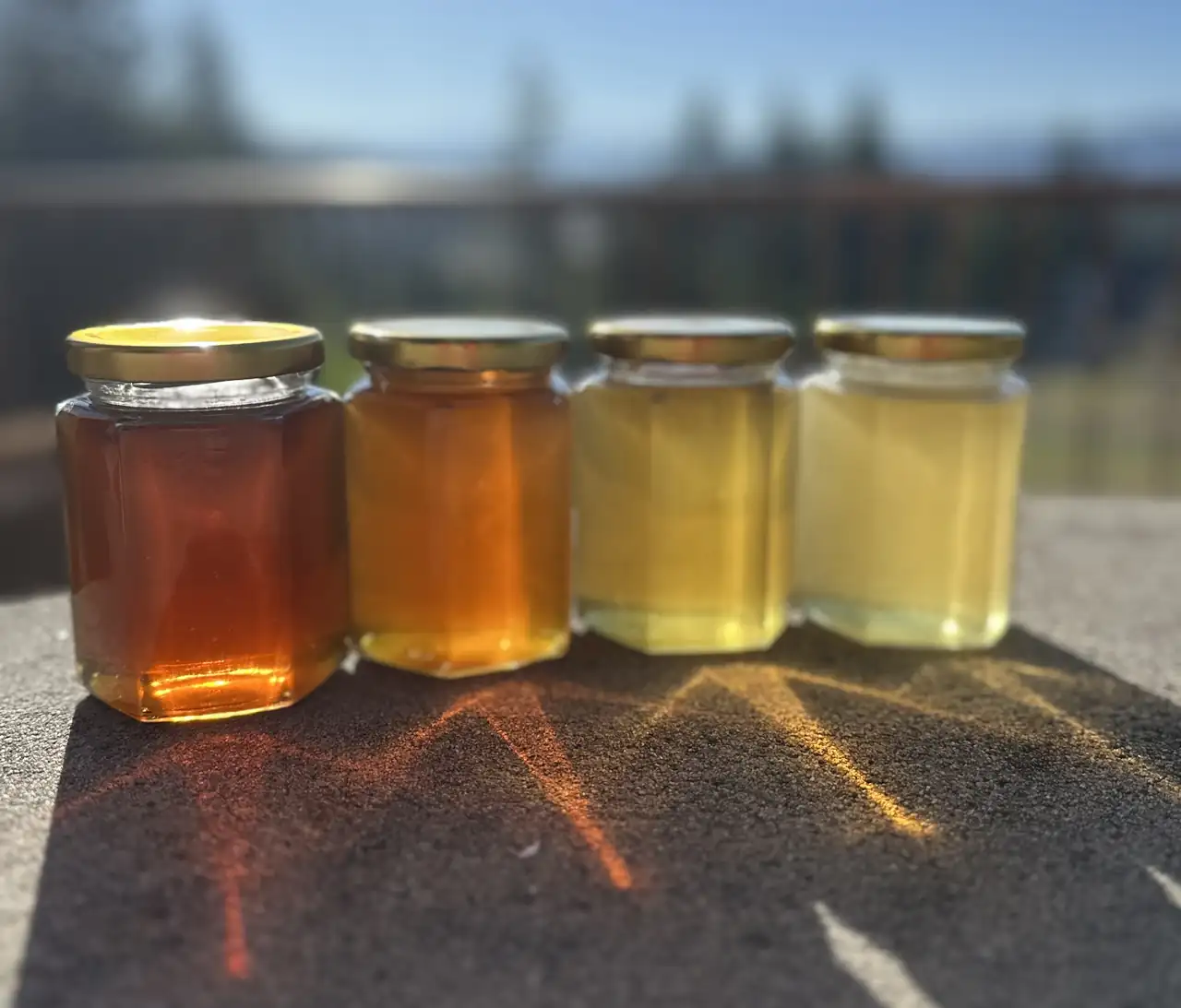 Four jars of raw honey in the sun, from dark amber to pale gold